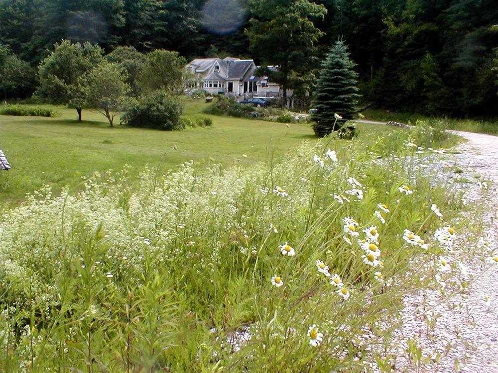 Mountain Valley Retreat Killington Exterior foto
